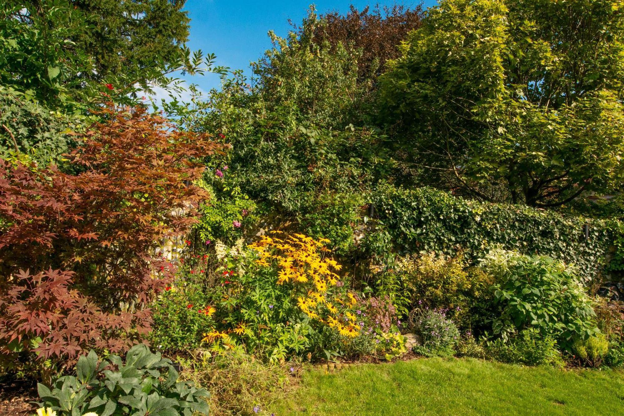 Miller Cottage A Luxury 1550'S Cottage In The Historic Centre Of Saffron Walden Exterior foto